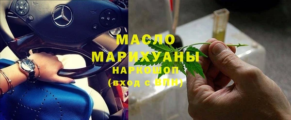 МДПВ Бородино