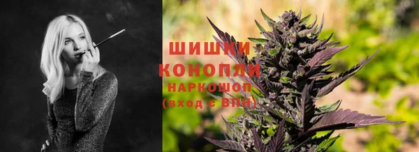 таблы Богородицк