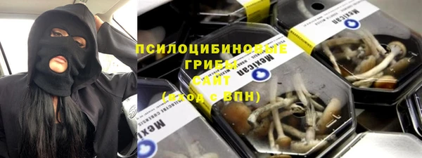 таблы Богородицк