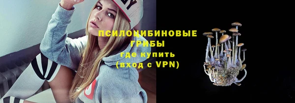 дживик Богородск
