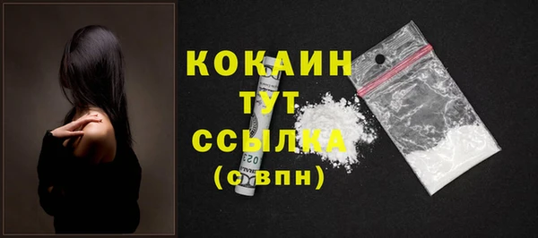 таблы Богородицк