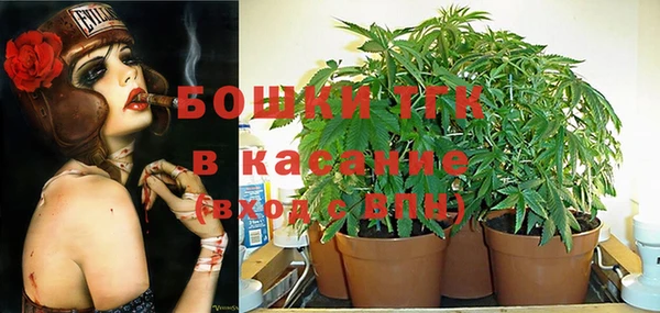 дживик Богородск