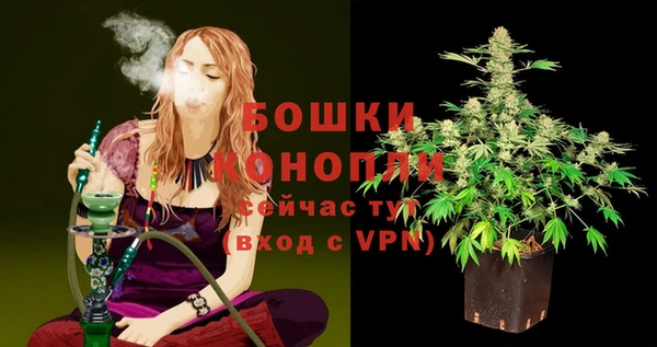 дживик Богородск