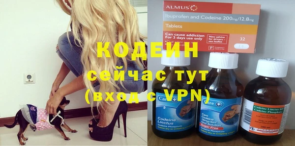 таблы Богородицк