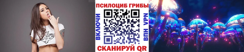 даркнет Telegram  Балахна  Галлюциногенные грибы Cubensis 