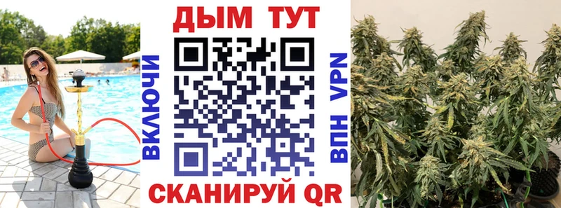 Шишки марихуана MAZAR Балахна